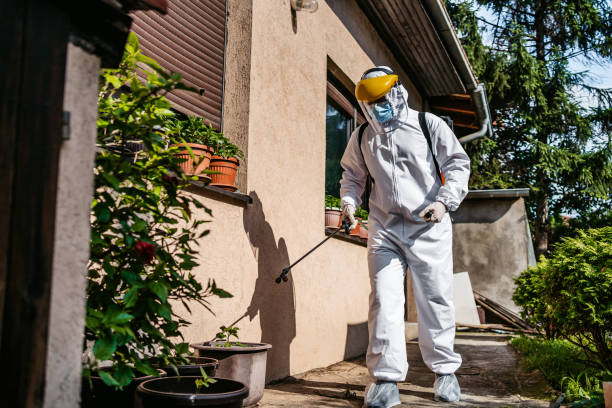 Best Best Pest Control Companies  in Phelan, CA